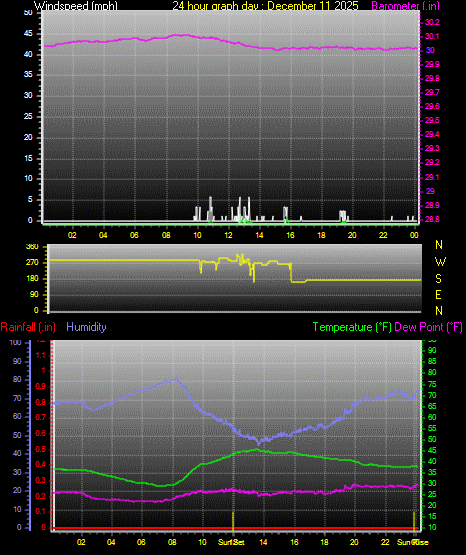24 Hour Graph for Day 11